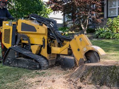 Stump grinder clearing the last of an old tree stump