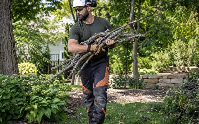 Broken and dead limbs being cleared from a tree after storm damage